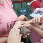 phoca_thumb_m_vychzky 51 Fotogalerie